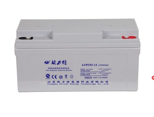 LCPC65-12(12V65AH)